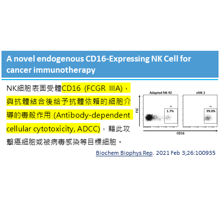 一種新穎內源性表現CD16的NK細胞應用於癌症的免疫療法