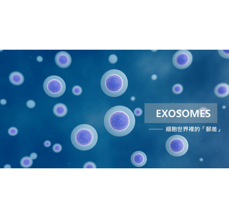 外泌體(exosomes)是什麼？可以的作用是？