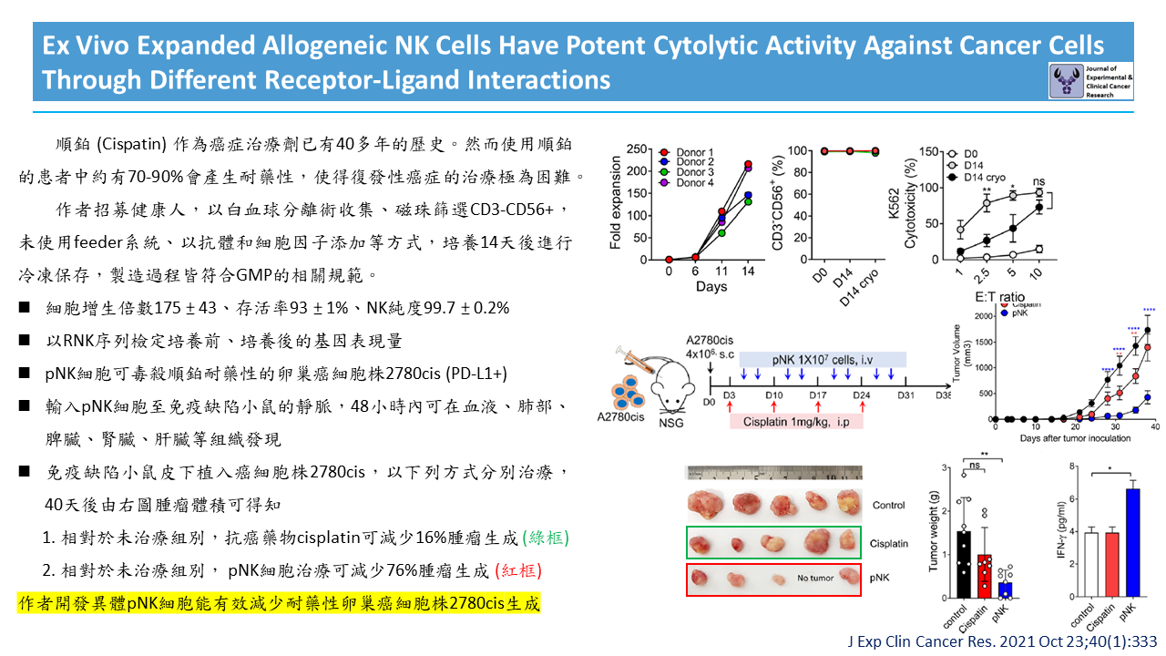 作者開發異體pNK細胞能有效減少耐藥性卵巢癌細胞株2780cis生成
