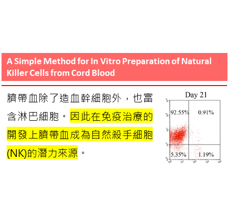 開發自臍帶血擴增NK細胞的簡易方法