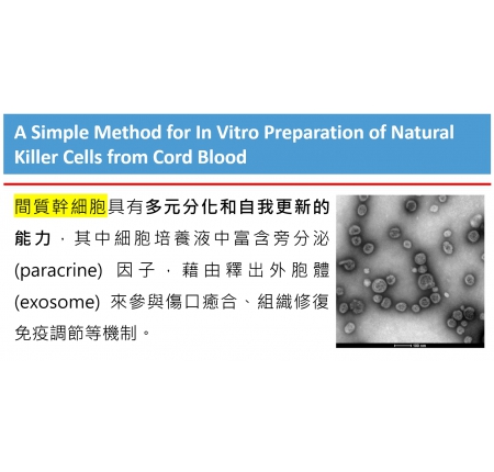 脂肪幹細胞所產生外胞體 (Exsomes) 能促進頭髮再生