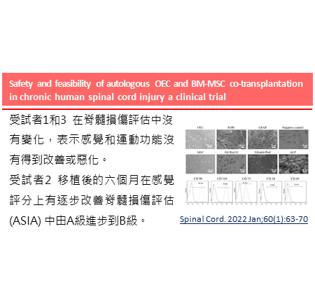 自體鼻嗅間質幹細胞 (OEC) 和骨髓間質幹細胞 (MSC)混和移植應用於人體慢性脊髓損傷的安全性和可行性評估