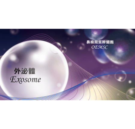[自主技術] 認識鼻嗅黏膜間質幹細胞外泌體（OEMSC-Exosome）相關分析技術（1）
