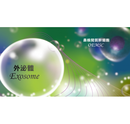 [自主技術] 介紹鼻嗅黏膜間質幹細胞外泌體（OEMSC-Exosome）臨床應用研究（2）
