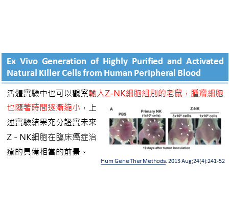 從人類周邊血體外擴增高純度和高活性的自然殺手細胞